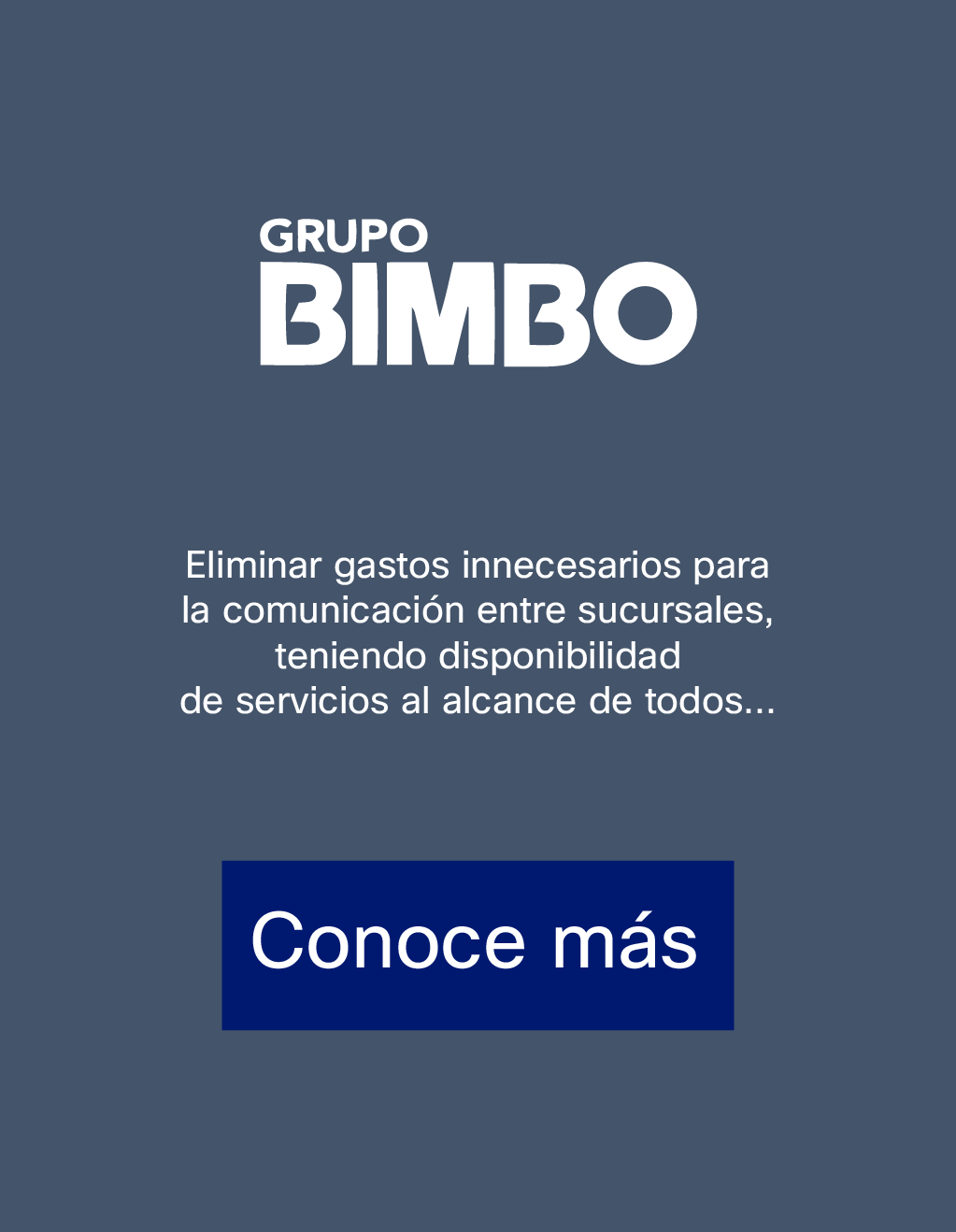 pwd_web_casosdeéxito_bimbo_activo